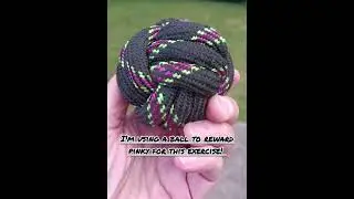 Advice about using rewards for training! #vesspettraining #puppytraining #dogtraining #dogvideo
