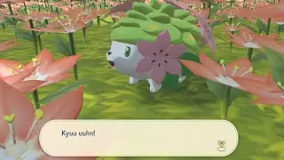 Shaymin Pok&eacute;mon Legends Arceus Side Quest 92 