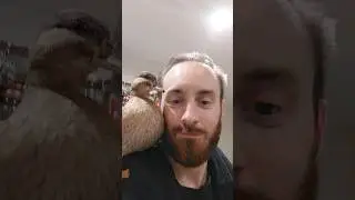 🦆Quacking Up with My Feathered Friend: Unbreakable Duck-Human Bond! #bird #pets #cute #animals
