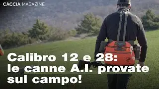 Starne a Fiordimonte con i nuovi Benelli Advanced Impact