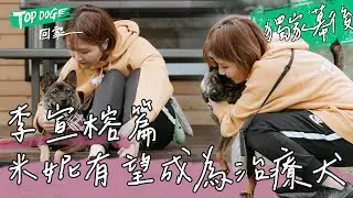 TOPDOG 獨家幕後｜李宣榕為節目租房養米妮！一起微浪浪生活3個月 厚厚日記本珍藏回憶📖 全都是愛啊~米妮有望成為治療犬幫助他人 @topdoghome