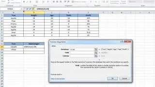 How to use DMAX DMIN Function in Excel | Excel Tips
