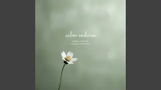 Expansion of Calm