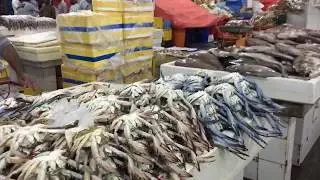 Dubai Old Fish Market