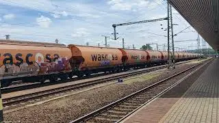 Dual Freight Movement Siemens-Vectron 193 245 & Dual Siemens Vectron 193 631 with Dead ZSSK 240-100