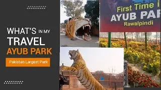 Largest Park in Pakistan | Child Sits Fearlessly with Bear |  پاکستان کا سب سے بڑا پارک: ایوب پارک