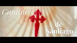 CAMINO DE SANTIAGO. Sarria a Santiago de Compostela. #039