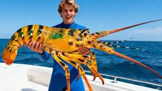 Underwater diving and beachcombing