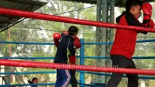 Manipuri girls and boys practice boxing at Khuman Lampak Boxing arena