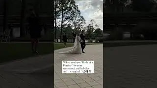 Birds of a Feather | Wedding Recessional ✨ #wedding #weddingmusic