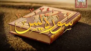 #best islamic video in YouTube viral trending video#beautifull reaction video in the world||