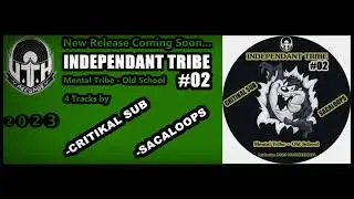 CRITIKAL SUB - RACINE // INDEPENDANT TRIBE#02 // UTH RECORD