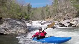 Tellico River TN