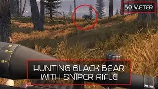 HUNTING BLACK BEAR WITH SNIPER RIFLE - CABELAS BIG GAME HUNT PRO HUNTER