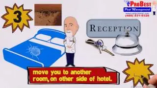 Bed Bugs Control in Arizona - Probest Pest Management / (480) 831-9328 - How bed bugs travel -