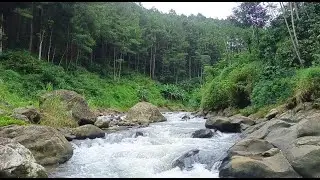 Ultimate Sleep Aid 😴 Crystal Mountain River | Calm & Serenity