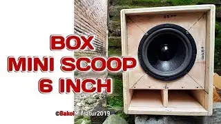 BOX MINI SCOOP 6 INCH