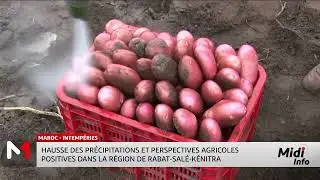 Pluies exceptionnelles à Rabat-Salé-Kénitra : un souffle pour l’agriculture
