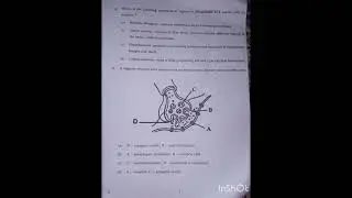 DAV board CLASS 11biology question PAPER #davboard #exampreparation #exam #shortvideo
