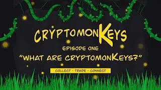 monKeyTV - Episode 1 - What are cryptomonKeys?