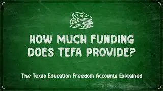 КАКОЙ ОБЪЕМ ФИНАНСИРОВАНИЯ ПРЕДОСТАВЛЯЕТ TEFA?