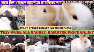 Galiff Street Pet Market,Kolkata|Rabbit, Hamster at Cheap Price|গালিফ স্ট্রিট খরগোশ মার্কেট|11/01/26