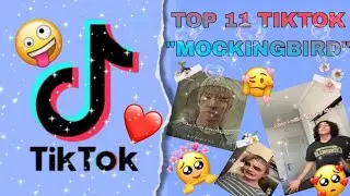 [TOP 11] 💫💙TIKTOK MOCKING BIRDS💙💫 VIDEO complication