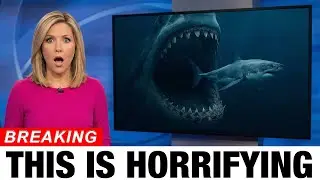 JUST NOW: Marine Biologists Solved the Mystery of the Vanished Great White &mdash; The Truth Is Terrifying