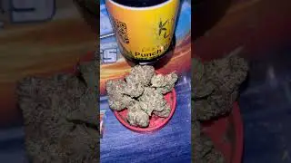 KindLife - Punch Breath #medicalcannabis #kindlife #highsociety