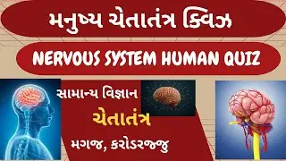 NERVOUS SYSTEM QUIZ | BRAIN | NEURON|SPINAL CORD|GENERAL SCIENCE GUJARATI EAR BORN |EYE 