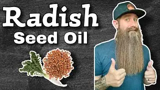 Radish Seed Oil [History & Benefits] Carrier Oils 101
