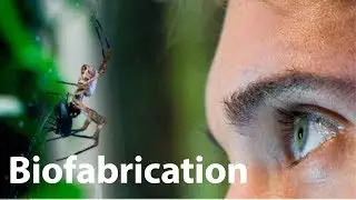 MASTER BIOFABRICATION