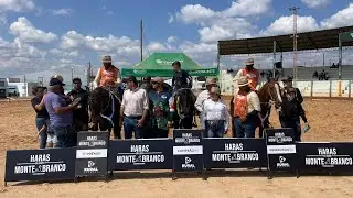 &Eacute;gua jovem de marcha picada