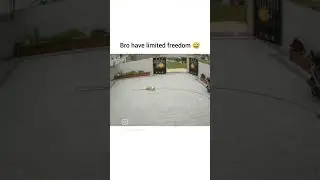 Bro have limited freedom..🙃#shorts #viralvideo #dog
