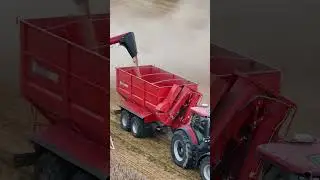 Summer Camp 2025 z Case IH #caseih #af10 #premiera