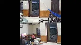 tết n&agrave;y con sẽ về