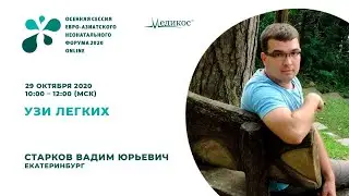 УЗИ легких
