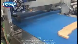 wafer pusher