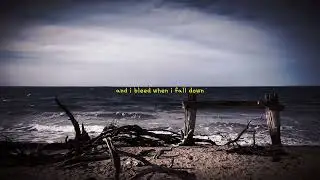 I say I am Fine - But I am Only Human&hellip;Words To Live By #2 #quotes  #motivation #status