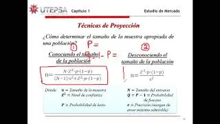 DETERMINACIÓN DEL TAMAÑO DE LA MUESTRA