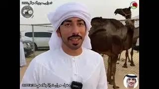 مزاين رزين للحيران