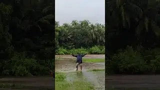 शेतात मजा #kokani #nature #minivlog #kokan #kokannow #adivare #viral #konkan #trending #shorts