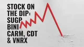 Падение акций: SUGP, BINI, CARM, CDT и VNRX