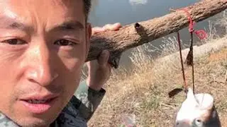 山上来且炖江鱼下蛋鸡 #我的农村生活 #生态农业 #农村散养土鸡 #大山里的味道