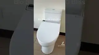 Our favorite electric bidet toilet seat models | BidetKing.com