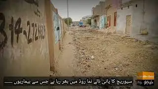 world bank project Click