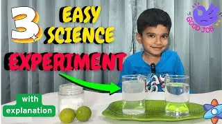 3 Easy and Fun Science Experiment | STEM Activities for kids
