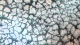 blob at 8x speed-