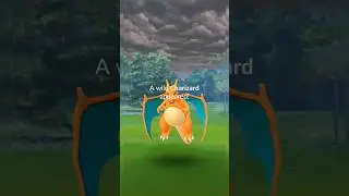 1900+cp wild Charizard with DAILY incense PokemonGo