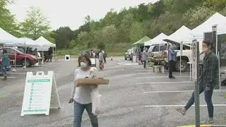 New harvest farmers' market opens for 2020